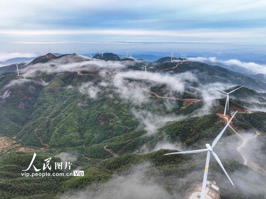 淹萝卜怎么做?游戏画面